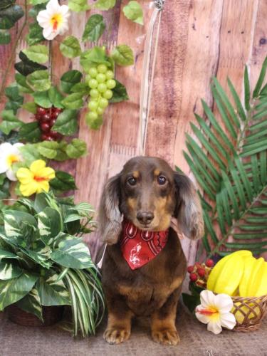 20230830ここあくん